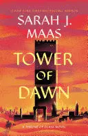 TOWER OF DAWN