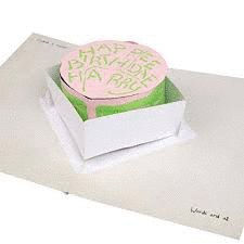 HARRY POTTER: BIRTHDAY CAKE SIGNATURE POP-UP CARD