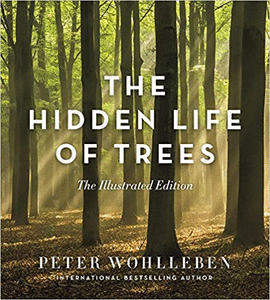 THE HIDDEN LIFE OF TREES: