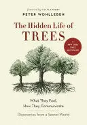 The Hidden Life Of Trees