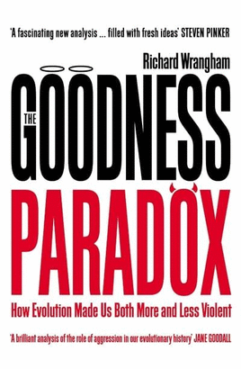 THE GOODNESS PARADOX