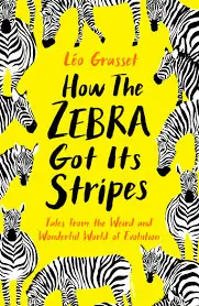 HOW THE ZEBRA GOT ITS STRIPES