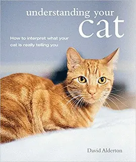 UNDERSTANDING YOUR CAT