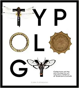 TYPOLOGY
