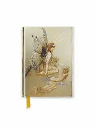 GOBLE PRETTY PAIR OF WINGS POCKET BOOKS