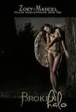 BROKEN HALO:FALLEN ANGELS TRILOGY, BOOK ONE