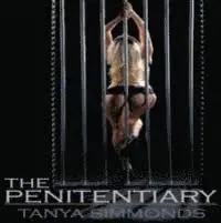 THE PENITENTIARY