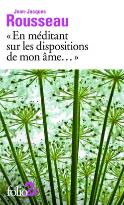 EN MÉDITANT SUR LES DISPOSITIONS DE MON AME