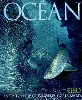 OCEAN