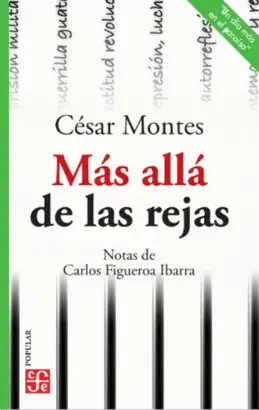 MÁS ALLÁ DE LAS REJAS