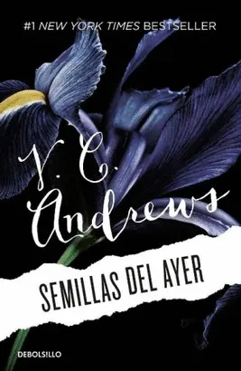 SEMILLAS DEL AYER IV (NUEVA PORTADA)