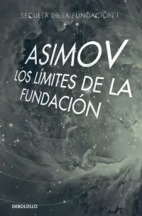LOS LIMITES DE LA FUNDACION