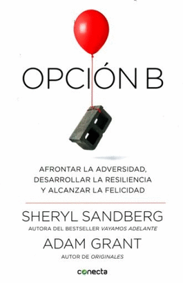 OPCION B