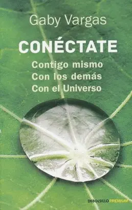 CONECTATE CONTIGO MISMO CON LOS DEMAS CON EL UNIVERSO