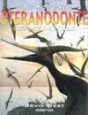 PTERANODONTE, GIGANTE DEL CIELO