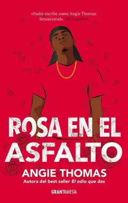 ROSA EN EL ASFALTO