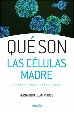 QUÉ SON LAS CÉLULAS MADRE