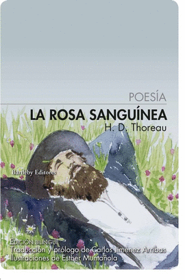 LA ROSA SANGUNEA