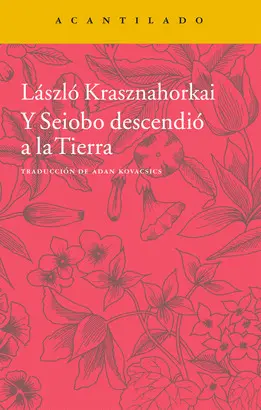 Y SEIOBO DESCENDIÓ A LA TIERRA