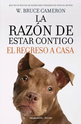 LA RAZÓN DE ESTAR CONTIGO. EL REGRESO A CASA