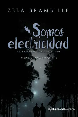 SOMOS ELECTRICIDAD