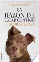 RAZON DE ESTAR CONTIGO, LA. EL REGRESO A CASA