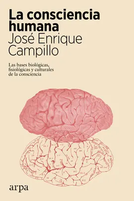LA CONSCIENCIA HUMANA