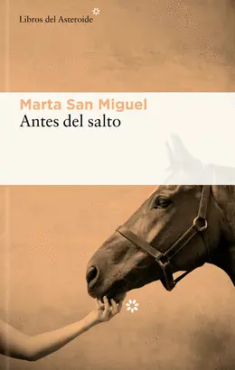 ANTES DEL SALTO