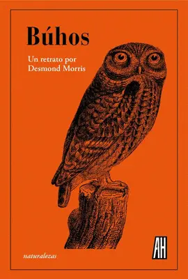 BÚHOS