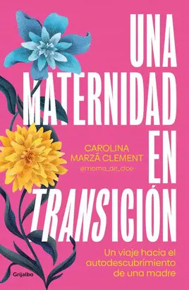 MATERNIDAD EN TRANSICION, UNA