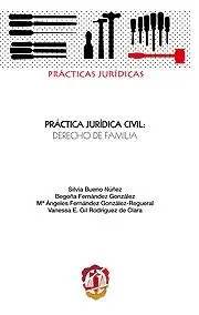 PRÁCTICA JURÍDICA CIVIL: DERECHO DE FAMILIA