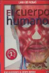 EL CUERPO HUMANO