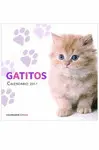 CALENDARIO GATITOS 2011
