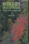 BOSQUES ESPAÑOLES
