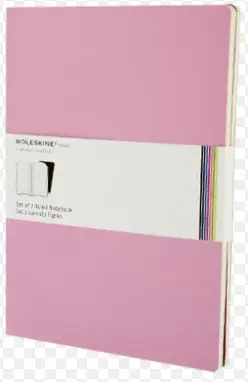 MOLESKINE RULED VOLANT NOTEBOOK XLARGE PINK (QP731D12TF)