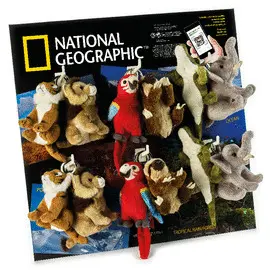 LLAVERO PEREZOSO NATIONAL GEOGRAPHIC