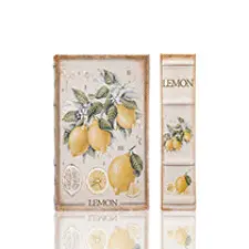  BOOK BOX PEQUEÑA BK-133 LEMON