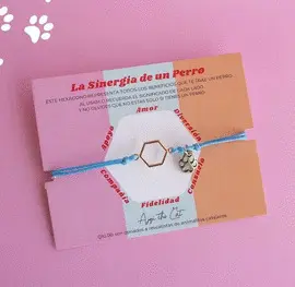 LA SINERGIA DEL GATO Y PERRO