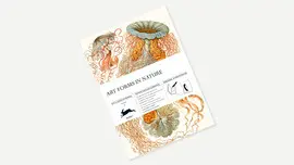 ART FORMS IN NATURE GIFT & CREATIVE PAPER BOOK