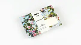 IMPRESSIONISM ENVELOPES - SOBRES