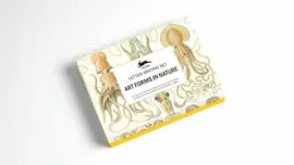 ART FORMS IN NATURE LETTER WRITING SET - SET DE CORRESPONDENCIA