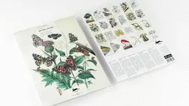 NATURAL HISTORY COLOURING BOOK