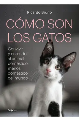 ¿CÓMO SON LOS GATOS?