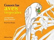 CONOCE LAS AVES TROPICALES