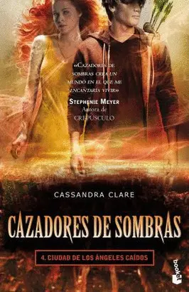 CIUDAD DE ÁNGELES CAÍDOS