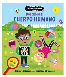 DATOS CURIOSOS-CUERPO HUMANO