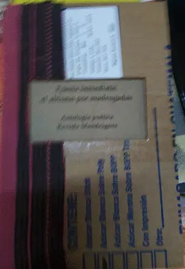 POESÍA INMEDIATA: EL ABISMO POR MADRUGADAS.
