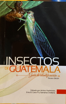 INSECTOS DE GUATEMALA
