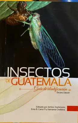 INSECTOS DE GUATEMALA