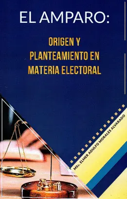 El Amparo, Origen y Planteamiento en Materia Electoral